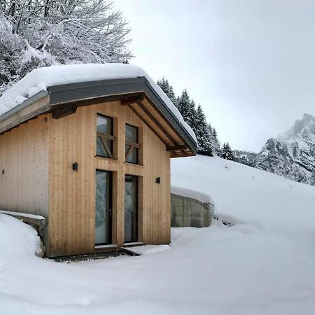 Chalet*** Au Pied D'Une Prairie Face A La Montagne Sixt المظهر الخارجي الصورة