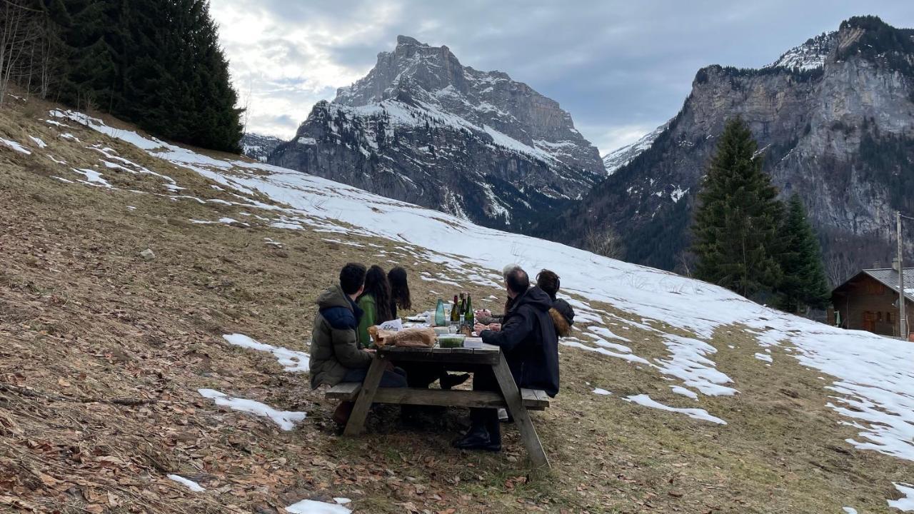 Chalet*** Au Pied D'Une Prairie Face A La Montagne Sixt المظهر الخارجي الصورة
