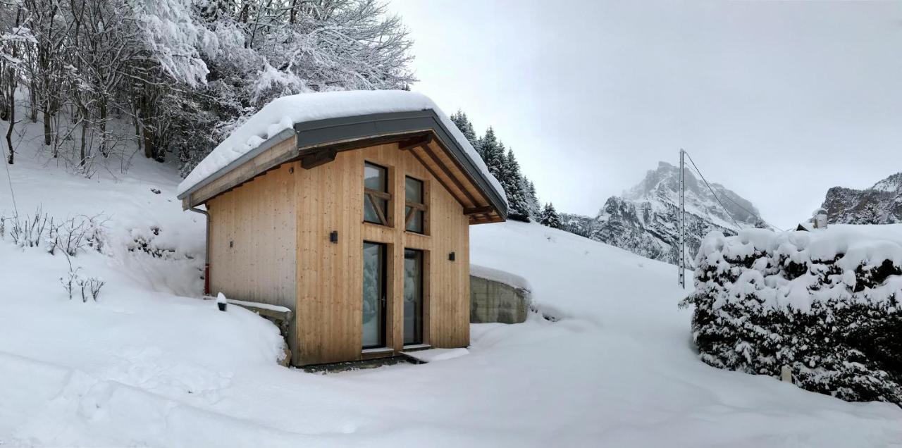 Chalet*** Au Pied D'Une Prairie Face A La Montagne Sixt المظهر الخارجي الصورة