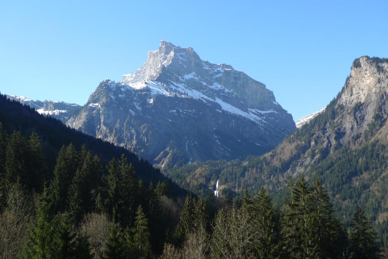 Chalet*** Au Pied D'Une Prairie Face A La Montagne Sixt المظهر الخارجي الصورة