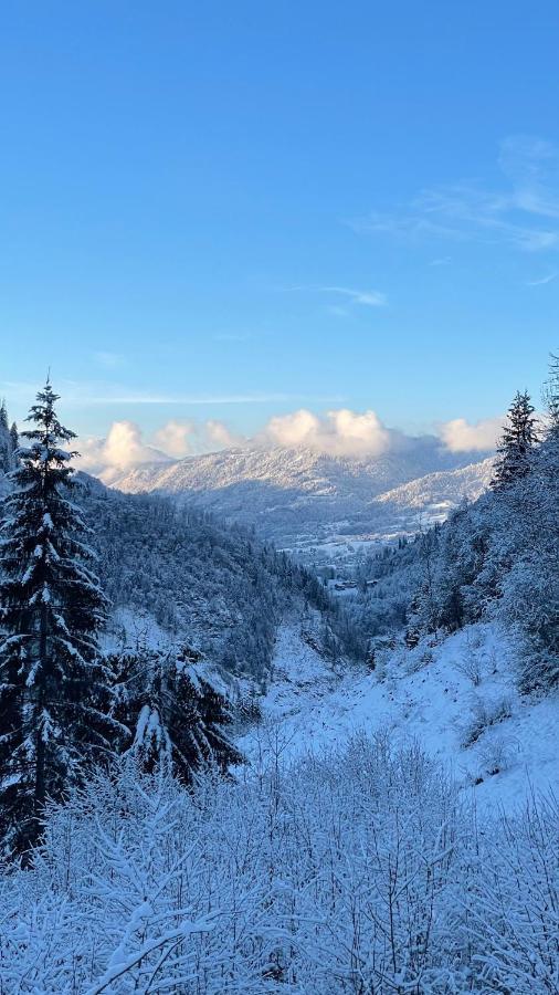 Chalet*** Au Pied D'Une Prairie Face A La Montagne Sixt المظهر الخارجي الصورة