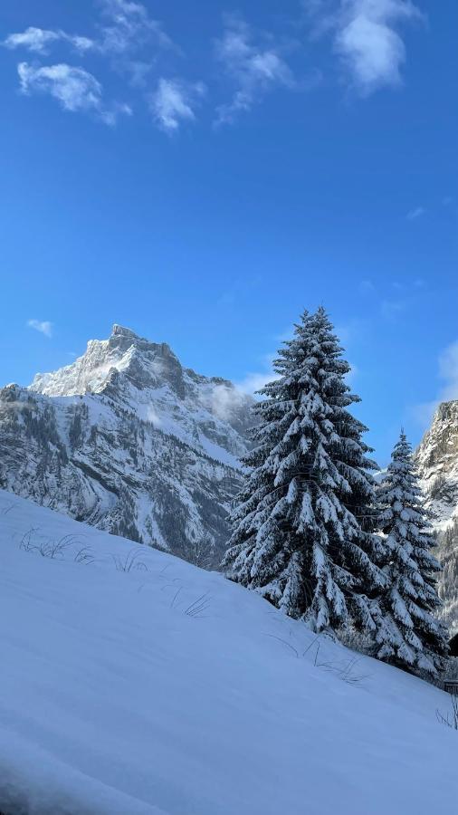 Chalet*** Au Pied D'Une Prairie Face A La Montagne Sixt المظهر الخارجي الصورة