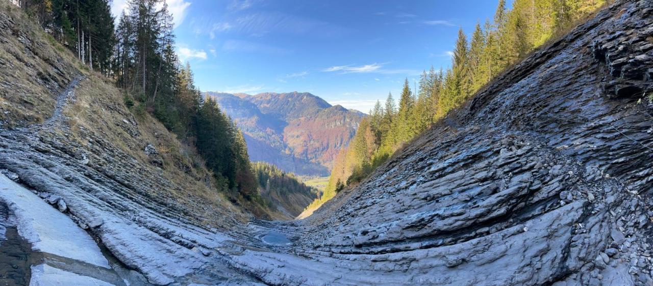 Chalet*** Au Pied D'Une Prairie Face A La Montagne Sixt المظهر الخارجي الصورة