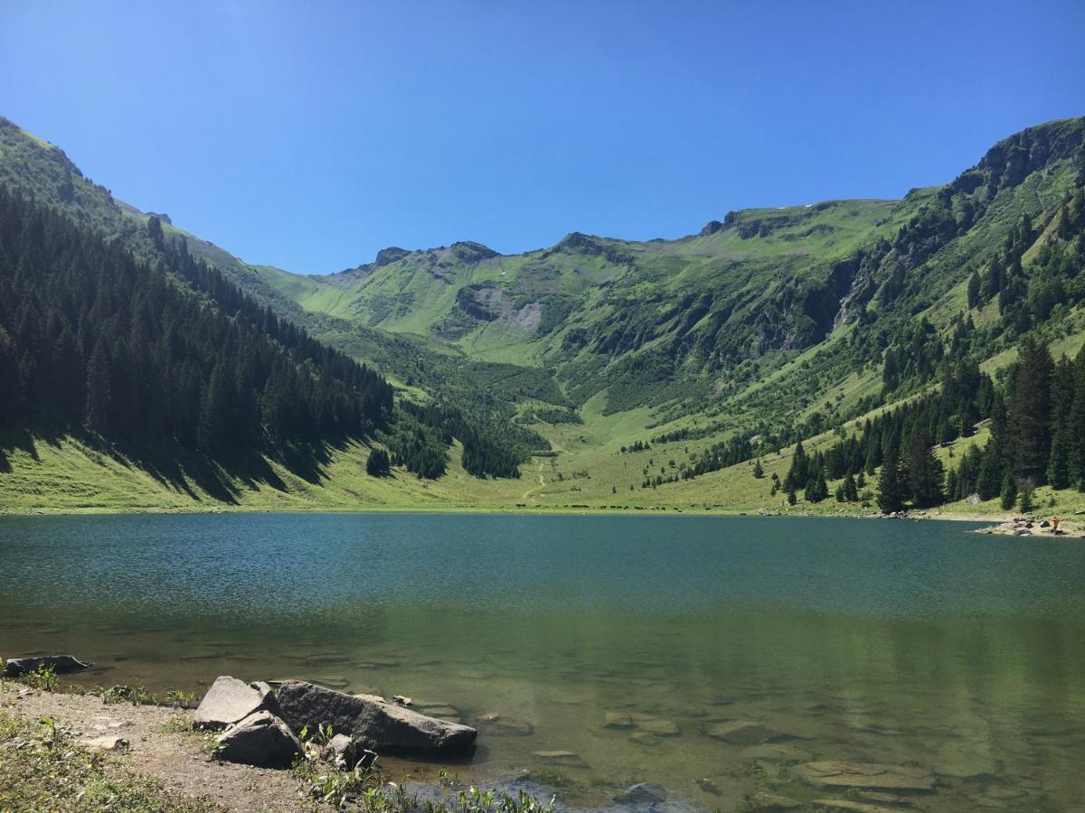 Chalet*** Au Pied D'Une Prairie Face A La Montagne Sixt المظهر الخارجي الصورة
