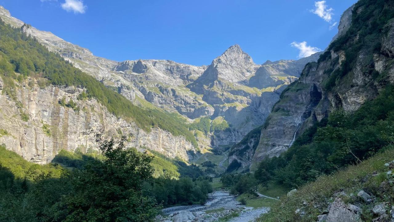 Chalet*** Au Pied D'Une Prairie Face A La Montagne Sixt المظهر الخارجي الصورة