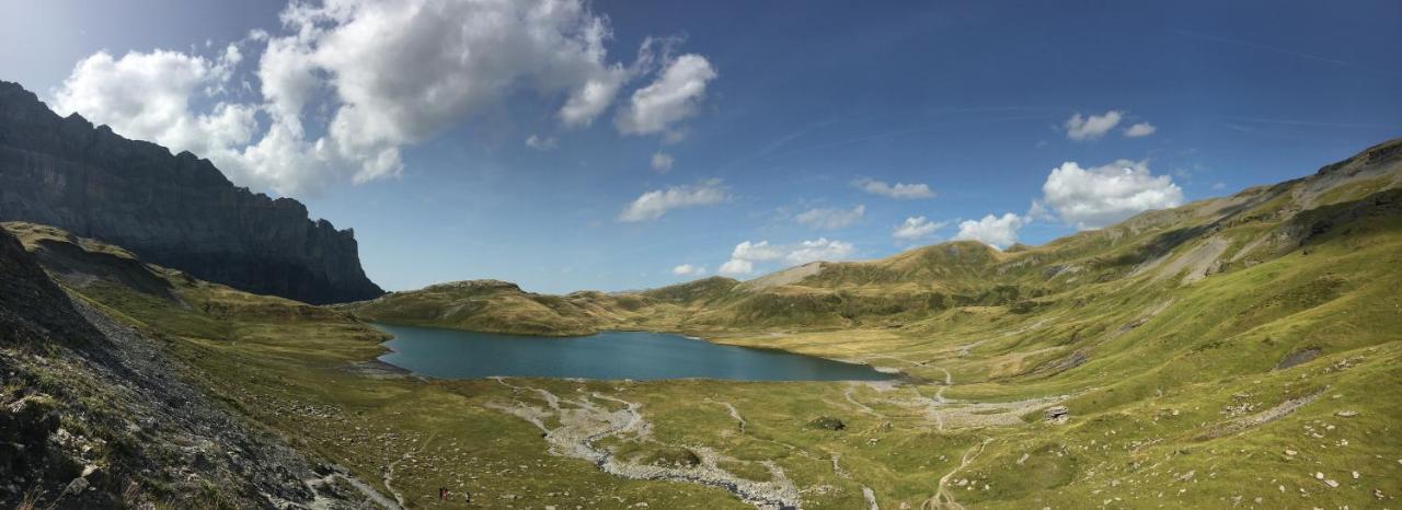 Chalet*** Au Pied D'Une Prairie Face A La Montagne Sixt المظهر الخارجي الصورة