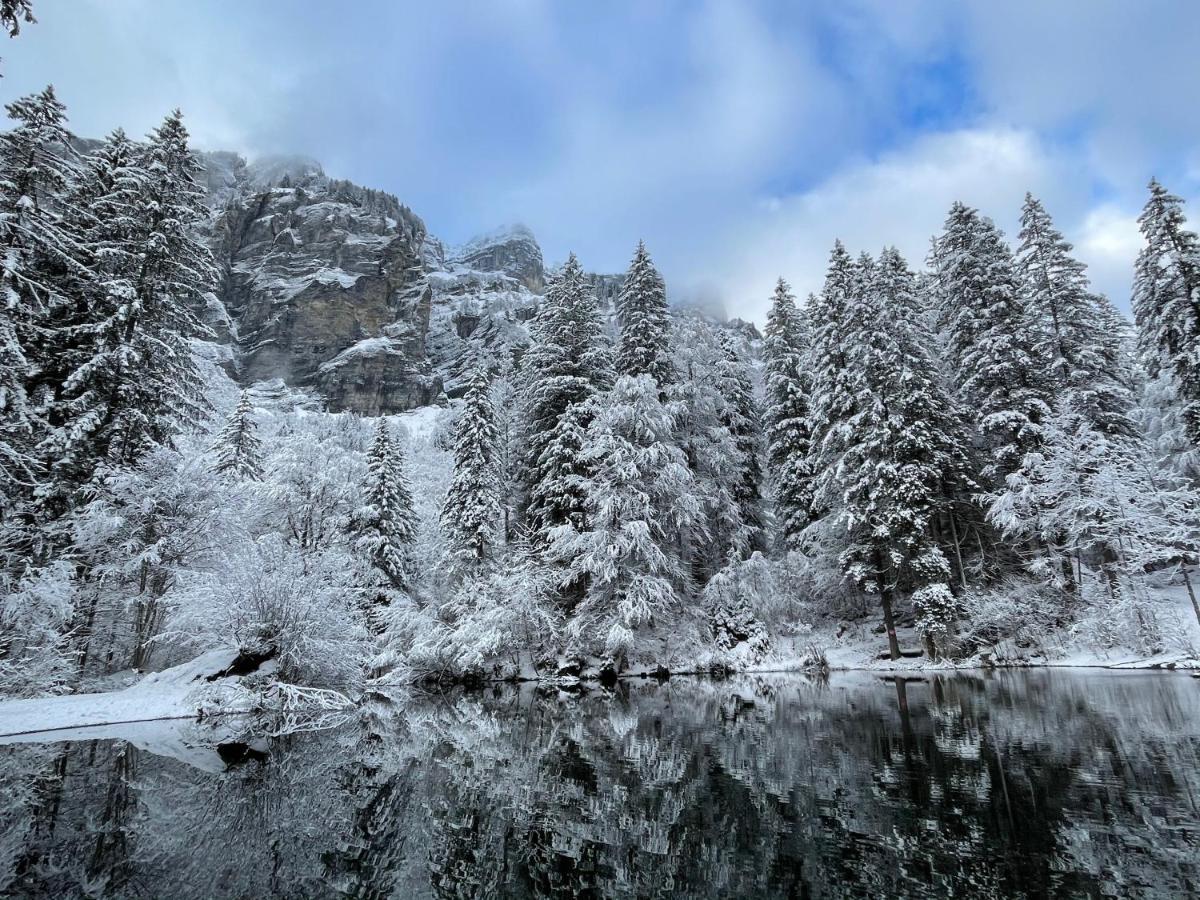 Chalet*** Au Pied D'Une Prairie Face A La Montagne Sixt المظهر الخارجي الصورة