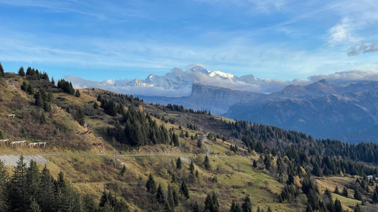 Chalet*** Au Pied D'Une Prairie Face A La Montagne Sixt المظهر الخارجي الصورة