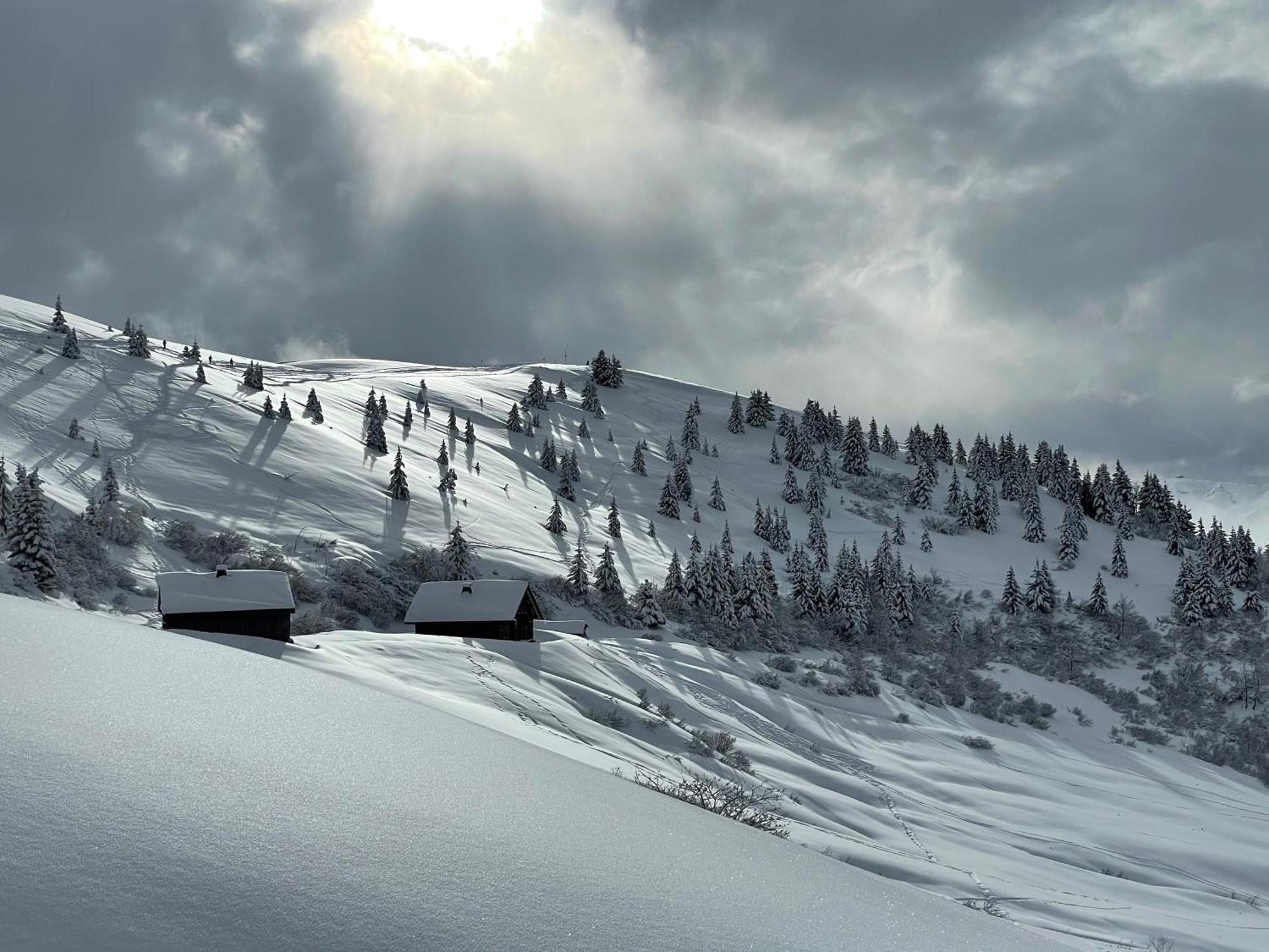 Chalet*** Au Pied D'Une Prairie Face A La Montagne Sixt المظهر الخارجي الصورة